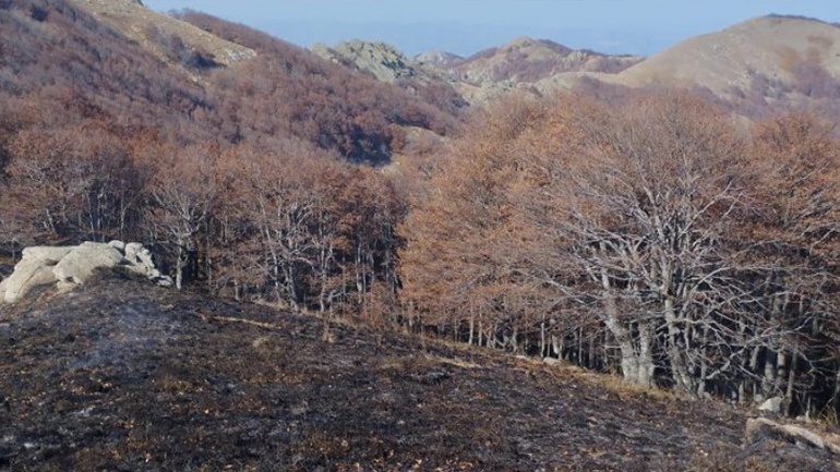 Παπίκιο Όρος: Η Πυροσβεστική επιχειρεί για 13η μέρα – Τραυματισμός εθελοντή